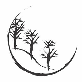 Dong Feng and The Apricot Grove