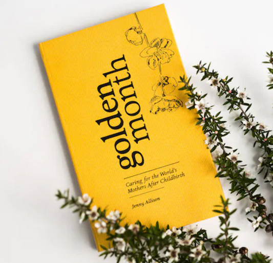 The Golden Month by Jenny Allison